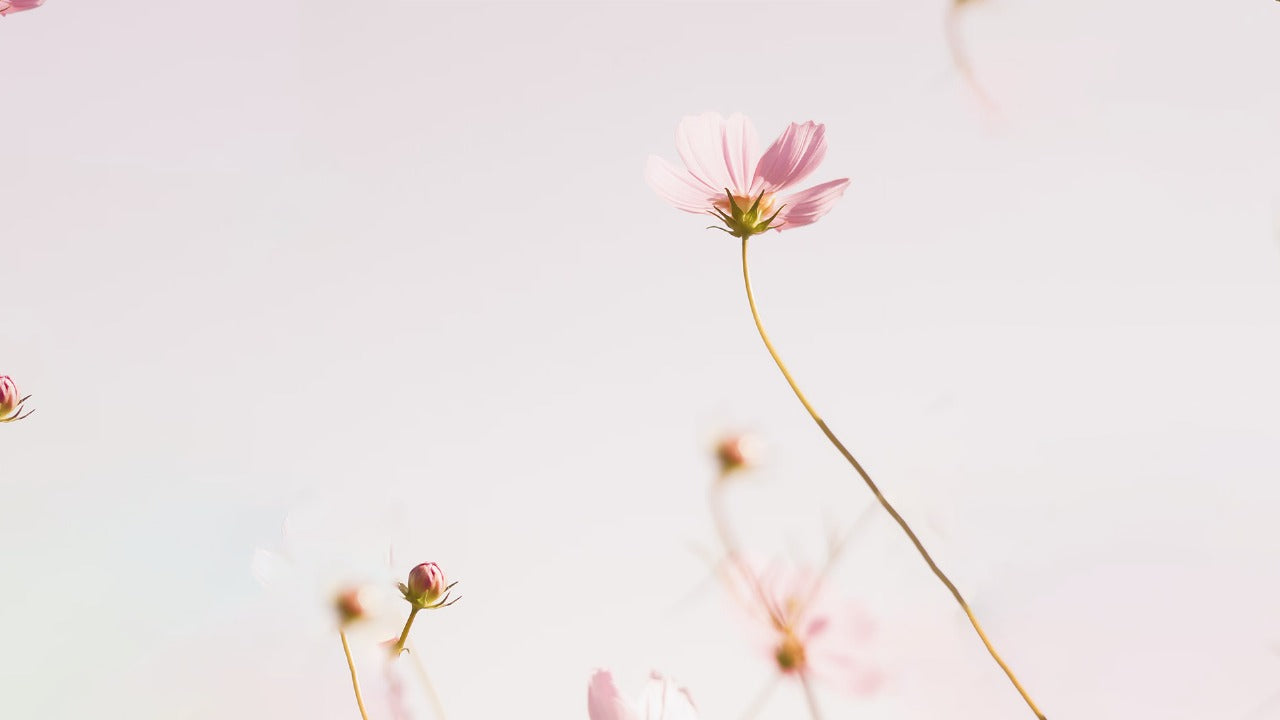 Background-image